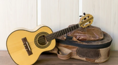 cavaquinho Giannini GCS14 vale a pena