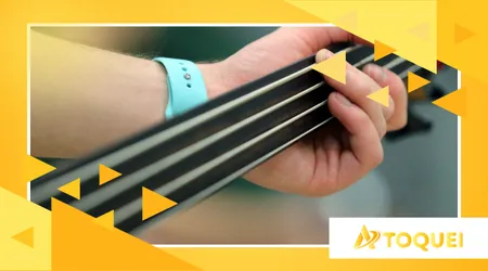 contrabaixo Fretless