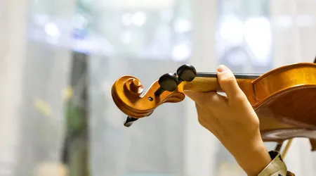 técnica de Pizzicato no violino