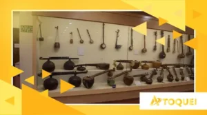 A origem e sonoridade da cítara indiana