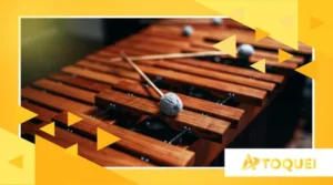 Review de instrumentos de percussão brasileiros para iniciantes