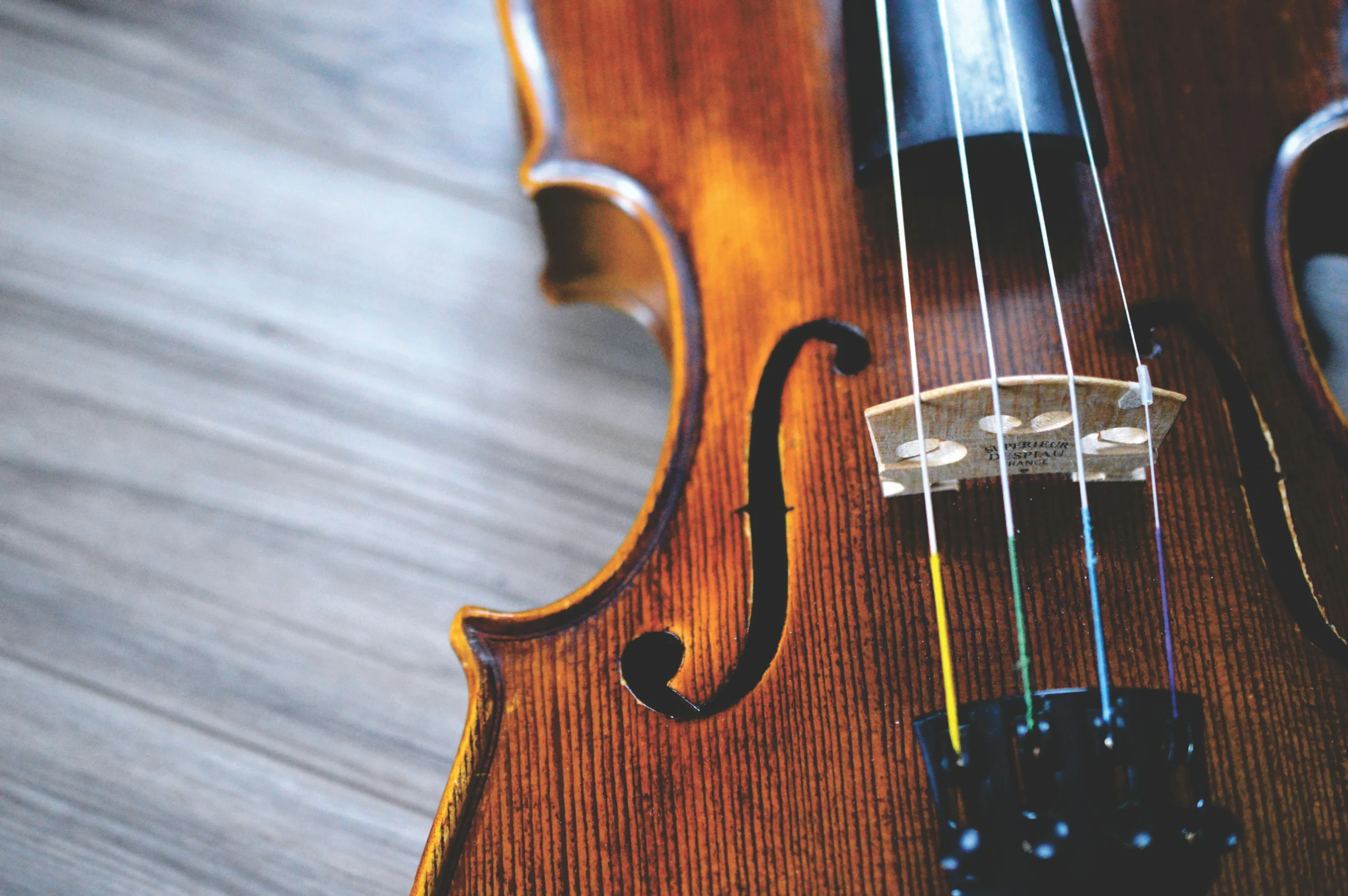 Guia de manutenção: como limpar violino sem danificar verniz