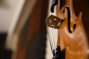Como afinar a viola de fandango do litoral brasileiro